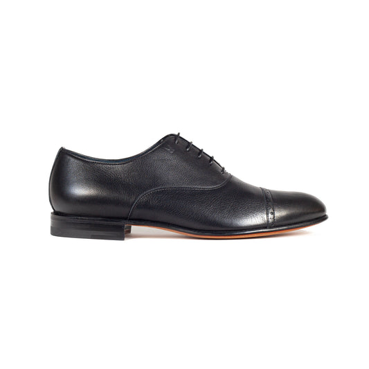Moreschi - Oxford Captoe