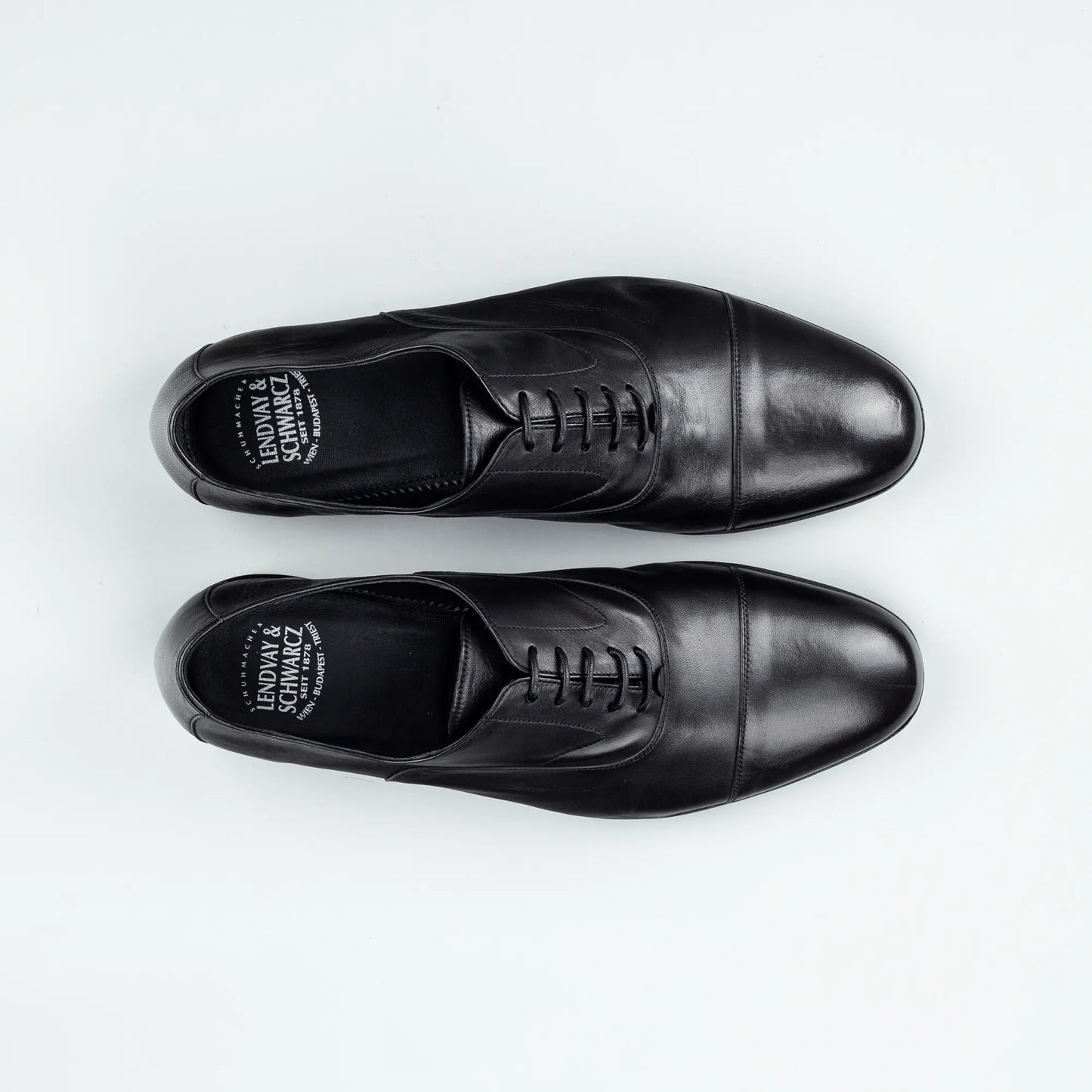 Lendvay & Schwarcz - Oxford Captoe