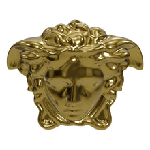 Laden das 3D-Modell in den Galerie-Viewer, Versace Rosenthal - Medusa Grande Vase
