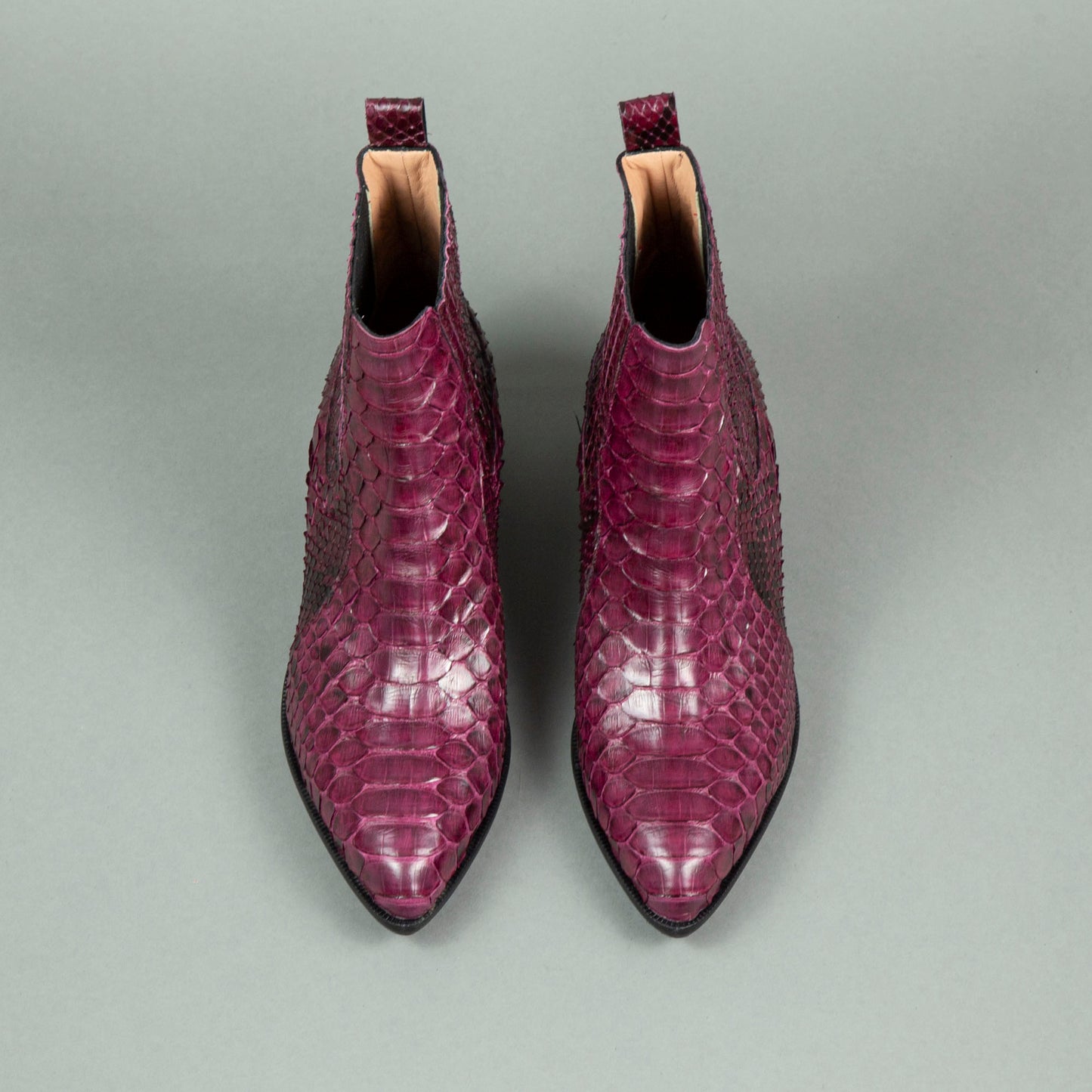 Catini - Ankle Boots (Schlange)