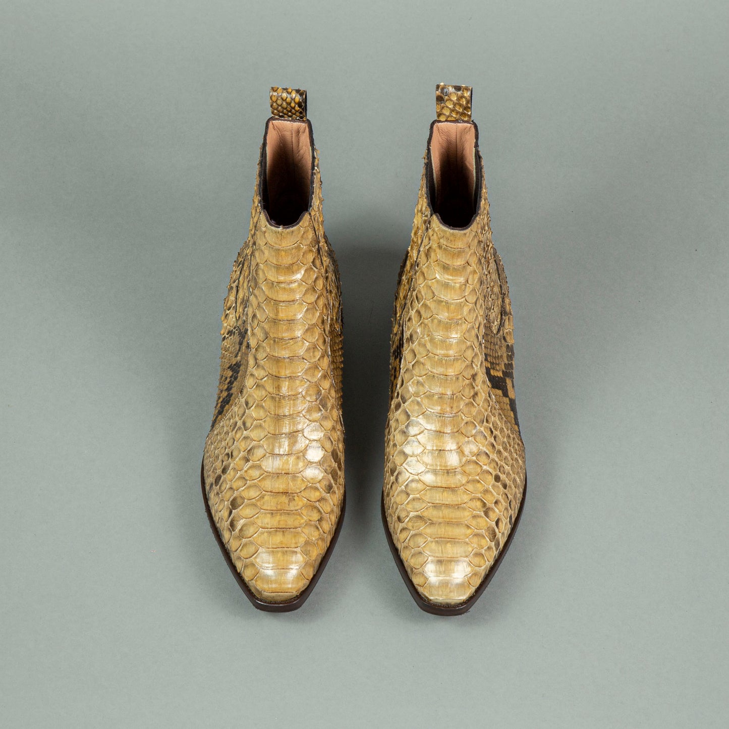 Catini - Ankle Boots (Schlange)