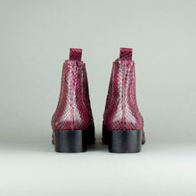 Lade das Bild in den Galerie-Viewer, Catini - Ankle Boots (Schlange)
